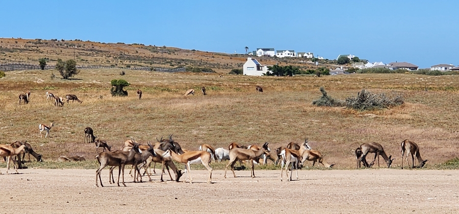 2 Bedroom Property for Sale in Langebaan Country Estate Western Cape